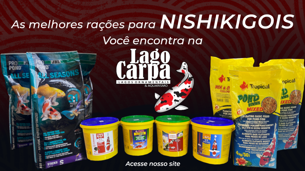 https://www.lagocarpa.com.br/